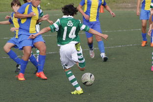 体育新闻中心持续完善体育新闻质量监督机制，体育新闻 新闻